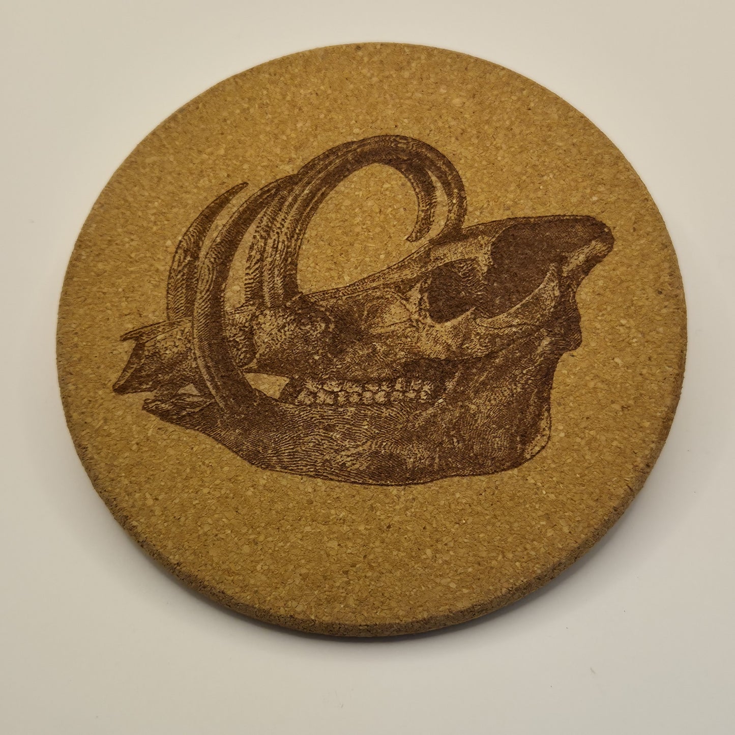 Cork Coasters/Mini Mats